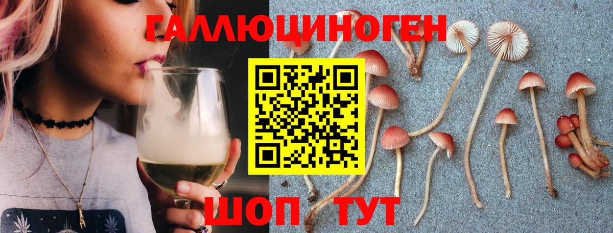 Псилоцибиновые грибы Cubensis Ливны